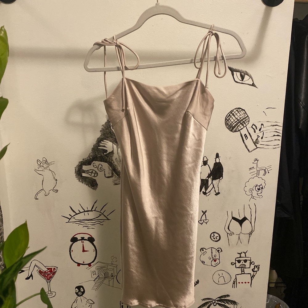 Princess Polly Silk Dress🤎